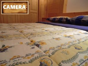 Immagine HOME GALLERIA (3)